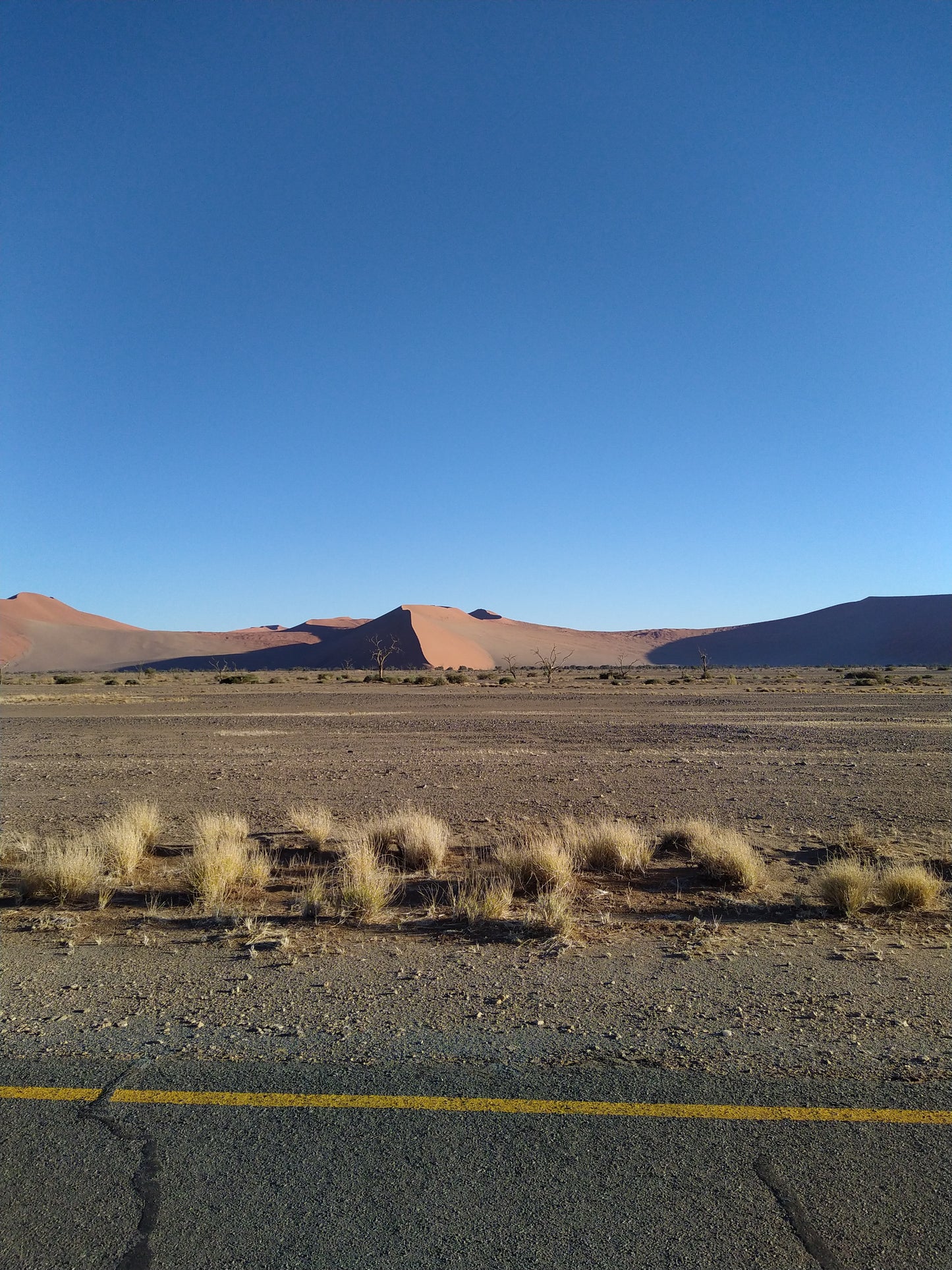 AFRSA VREDE24 Desert turned into forest with innovative irrigation systems near Vredendal, South Africa