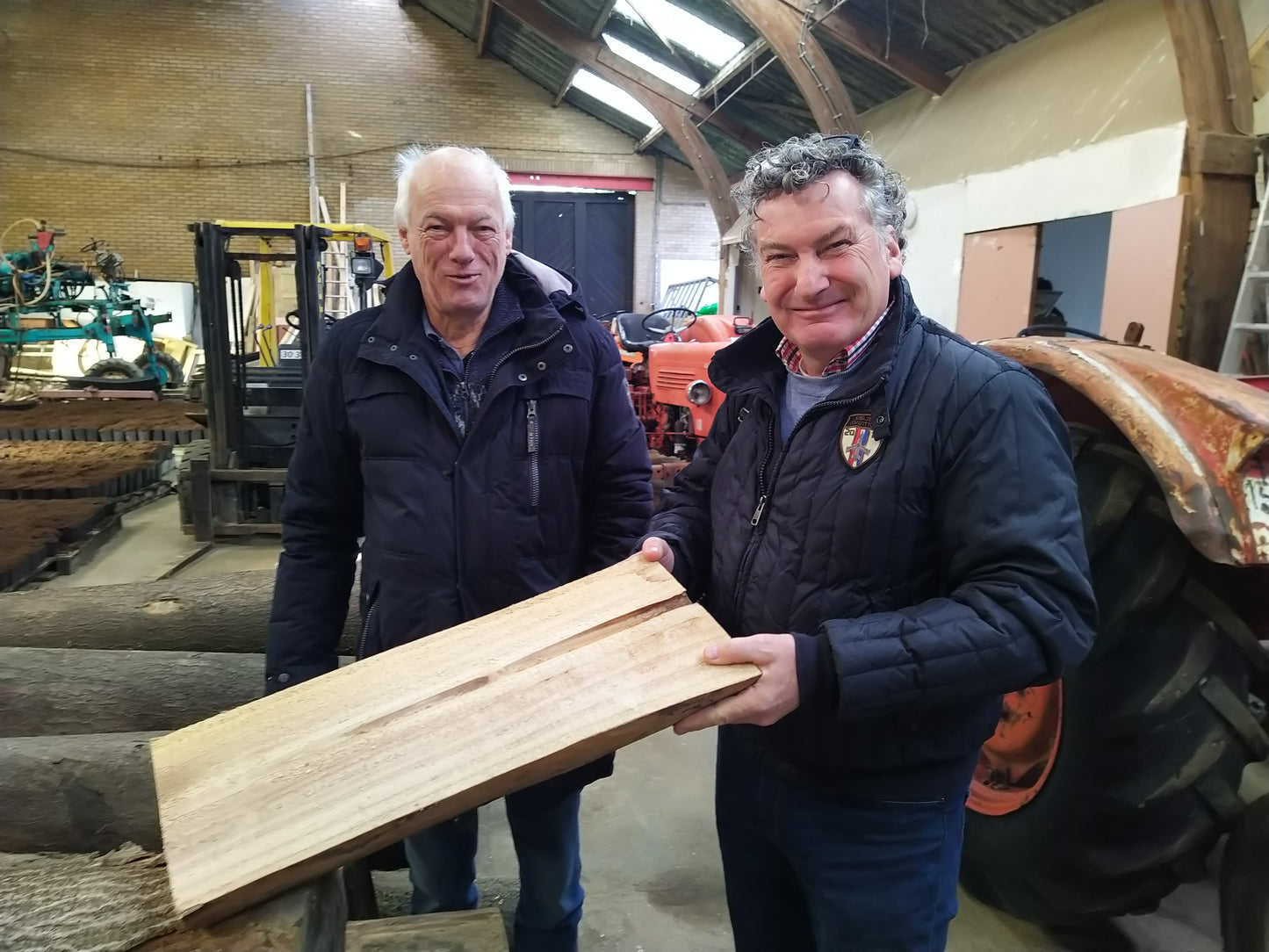 EUNED PAULO24 Paulownia trees and the centre of excellence for Paulownia trees in the Netherlands