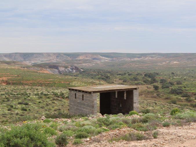 AFRSA VREDE24 Desert turned into forest with innovative irrigation systems near Vredendal, South Africa