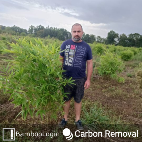 Bamboologic Blan 2: Carbon removal via European bamboo fields