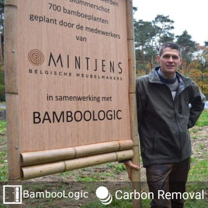 Bamboologic Mintjens: Carbon removal via European bamboo fields