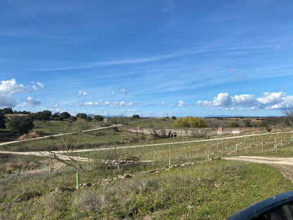 EUSPA MADRI13 Manual reforestation on 13ha with a variety of bamboo and other plants near Madrid, Spain