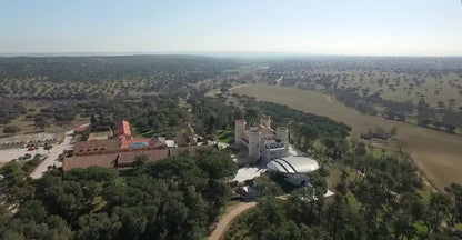 EUSPA MADRI13 Manual reforestation on 13ha with a variety of bamboo and other plants near Madrid, Spain