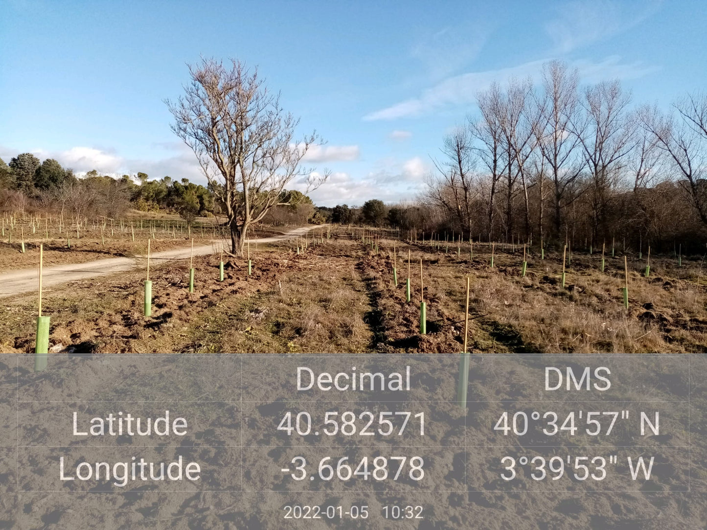 EUSPA MADRI13 Manual reforestation on 13ha with a variety of bamboo and other plants near Madrid, Spain