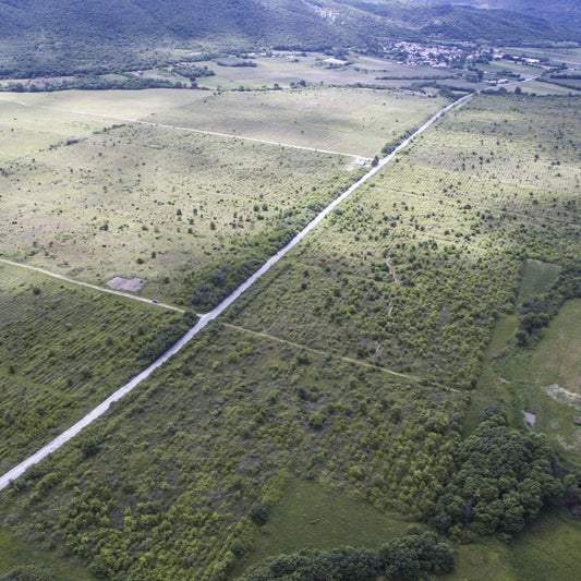 EUNMA KURKA48 - An old and barren vineyard of 48ha will be converted into a bamboo forest in Croatia