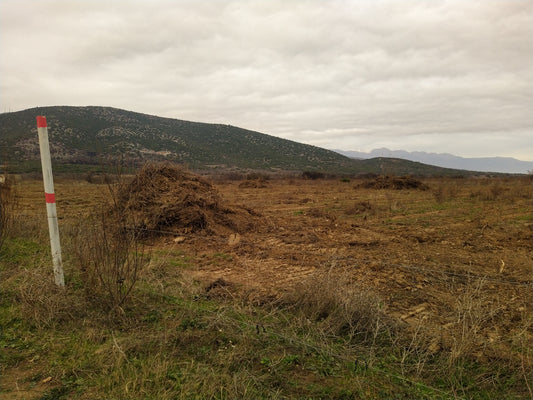 EUNMA KRNIK54 Barren and unused land, 50ha, is cleaned and converted into carbon absorbing bamboo forest in Croatia