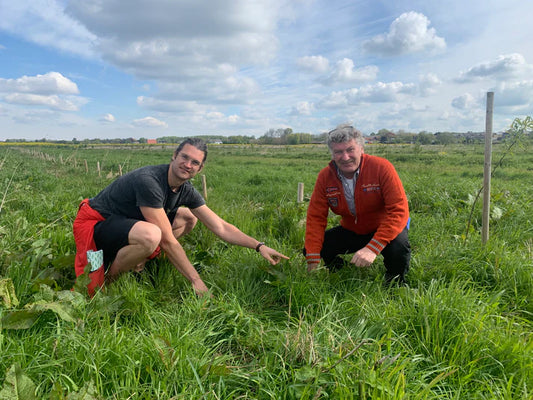 Agroforestry in Waddinxveen en Portugal: Carbon removal via European Reforestation fields preventing desertification