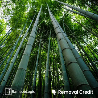 Bamboologic Alcoutim: Carbon removal via European bamboo fields